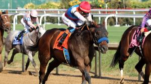Salahudin, Bob Baffert, 2026 Iroquois Stakes, Road to the 2027 Kentucky Derby
